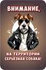 Металлическая табличка Осторожно Злая собака 30x20см Шпиц