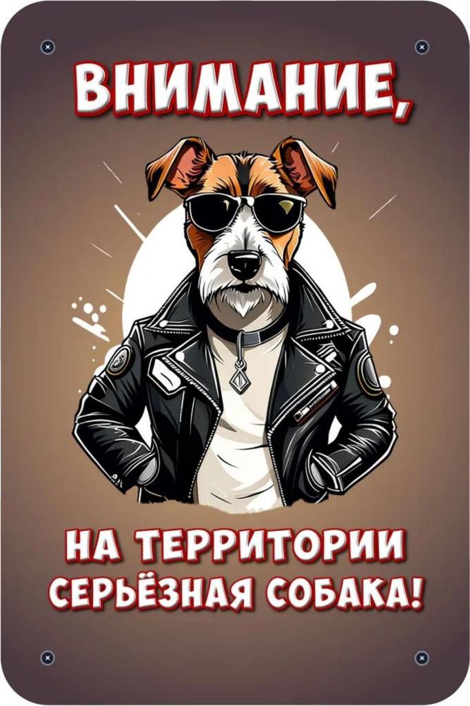 Металлическая табличка Осторожно Злая собака 30x20см Шпиц