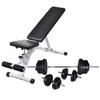 VidaXL Training Bench with Dumbbell and Weight Plate Set 60.5 Kg 275347