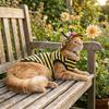 Striped T-Shirt Bee Themed Cat Outfit Set Breathable Cat Anti Shedding Vest  Travel