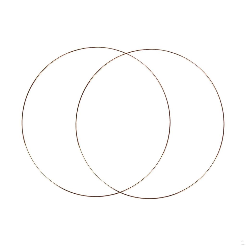 2 Pieces Metal Floral Hoops Craft Iron Rings Round for Macrame Crafts DIY Dreamcatcher