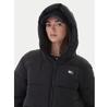 Куртка зимняя Tommy Jeans DW0DW21625
