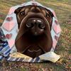 1PC Dog Hearts Umbrella-8-Rib Reinforced Portable Folding Travel Suitable for All Seasons Outdoor Daily Use Is an Ideal Choice -F388
