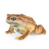 Realistic Solid Frog and Toad Animal Figurines For Kids, Educational Reptile Projects and For B G6L7