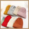 Winter Solid Color Knitted Warm Hat Knitted Women's Hat