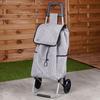 Shopping Trolley With Bag, Gray, 40 L