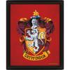 Gryffindor 3D Framed Picture