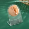 1:1 Silicone Ear Model Professional Practice Piercing Tools Display Jewelry