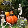 Realistic Skeleton Prop 40cm Movable Human Model Pumpkin Full Body Figure Toy Halloween Decor Bride Groom Witch Ornaments