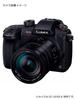 Panasonic Leica DG Zoom Lens for Micro Four Thirds Vario-Elmarit 12-60mm f/2.8-4.0 ASPH./Power O.I.S. (H-ES12060)