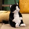Plush Cat Toy With Pp Cotton Filling For Kids And Giftgiving