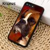 Чехол для телефона Krajews Boxer Dog Puppy Puppies Design для iPhone 14 5 SE 6s 7 8 plus X XR XS 11 12 13 pro max Samsung S21 S22 ultra
