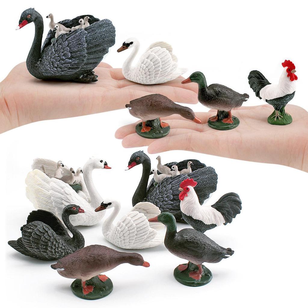 Cross-Border Poultry Model: Children's Cognition Mallard, Swan, Rooster Figurine Set