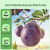 Baicaowei Dried Plums