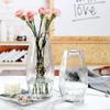 Ваза Стеклянная ваза Украшение дома Украшения Цветочная композиция Может держать воду Ваза для цветов