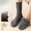 Men's Autumn and Winter Style Thick Wool Wool Warm Deodorizing Long Socks