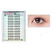 3D Self-adhesive False Eyelashes Glue-Free Eyelash Extension Kit Segmented Eyelashes Bundles  Women