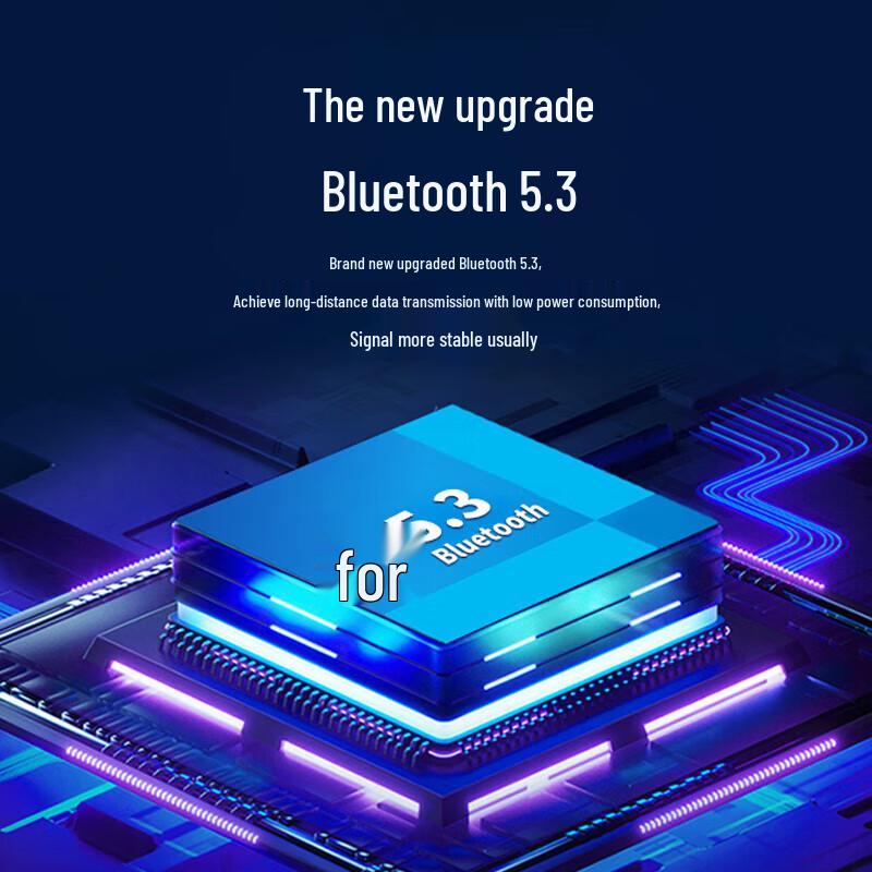 Philips SBM220 Wireless Portable Amplifier