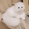 Реалистичная плюшевая игрушка-кошка, Животное-набивная игрушка, кукла-кошка, Мягкая пушистая подушка-плед с кошкой, Подарок для взрослых, детей, молодежи