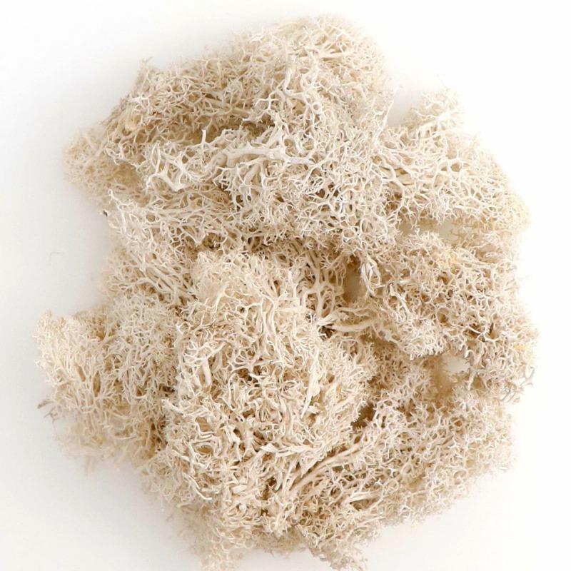 20 г Искусственный Бессмертный Мох Зеленый Искусственное Растение для Дома Сада Гостиная Озеленение Декор Наполнитель Стены Цветочное Растение Искусственный Мох