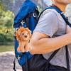 Little Lion Plush Doll Cartoon Stuffed Animal Doll Pendant for Keychain Bag Mini Lion Doll with Fluffy Hair for Boys Girls Gift