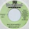 7inch Record MEGA BANTON - Who Responsible Young Blood 2005 Jamaica Reggae, Ska & Dub