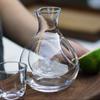 250ml Glass Wine Bottle Hole Sake Ice Jug Hamster Nest Cooling Brandy Whiskey Beer Decanter Transparent Wine Carafe Superior Bar Tools