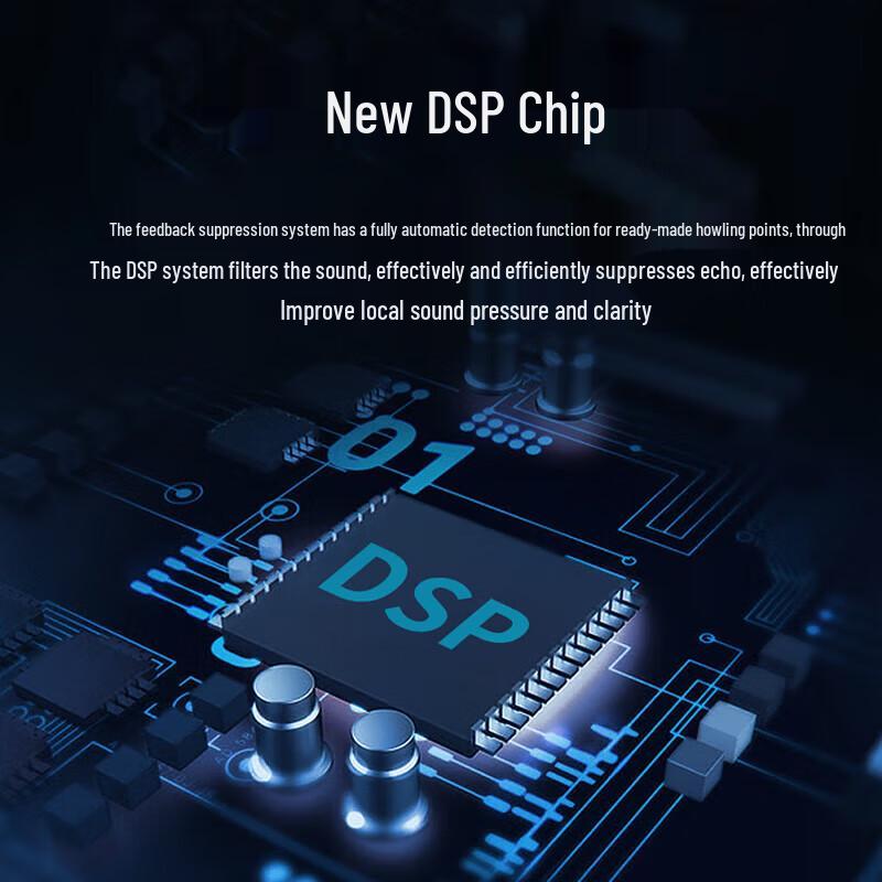 Professional Digital Audio Processor with Automatic Feedback Suppression (CN version)