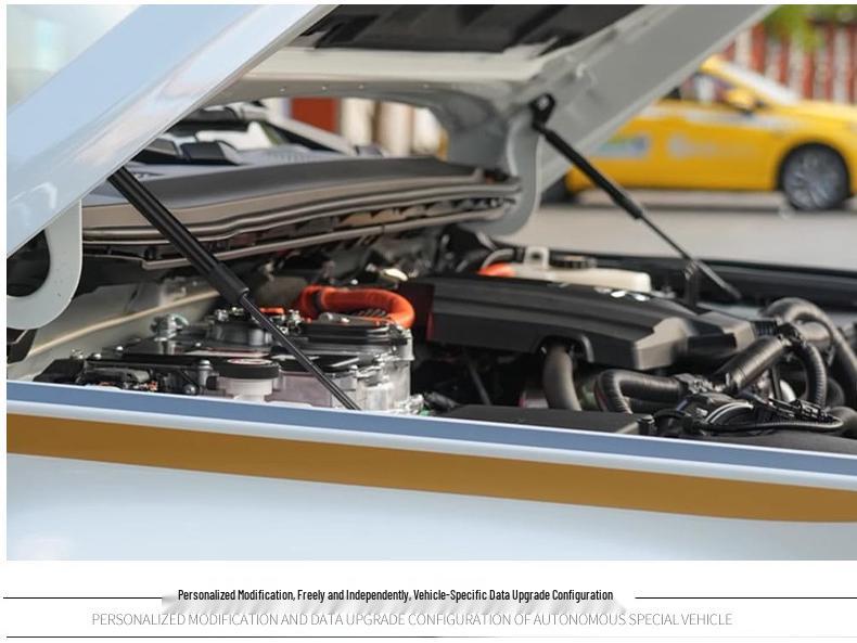 Газовые упоры для капота 2024 Prado LC250