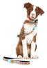 Поводок для собак ROOKCRAN Max & Molly, Большой, Смешной дизайн, Подходит для маленьких, средних и больших собак, Стильный, 064701