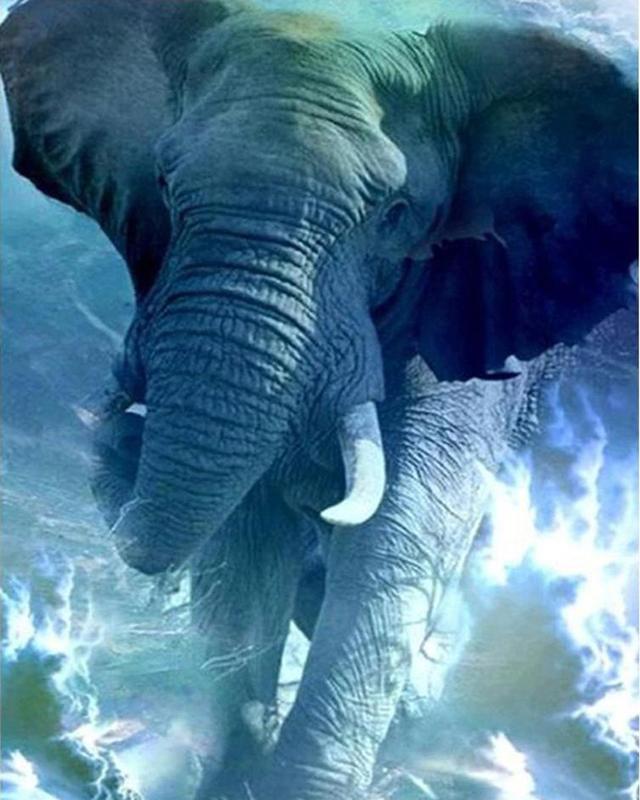 5D Алмазная вышивка Слон Полный квадратный круглый вышивка крестиком Алмазная картина Животное Мозаика Рукоделие Украшение дома