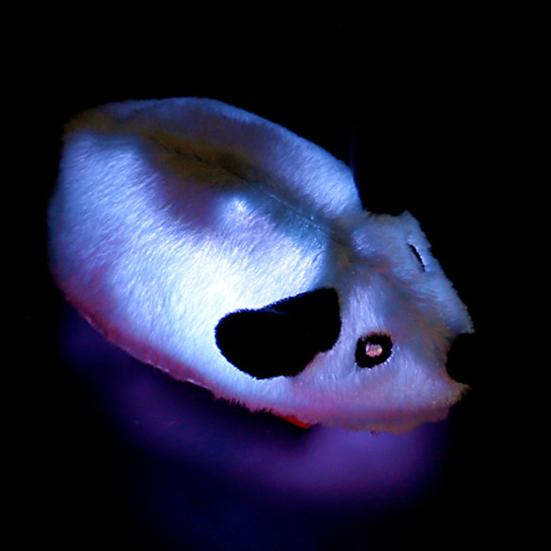 Electric Mouse Toy for Cats Interactive Plush Mouse with Remote Control Rechargeable Automatic Moving Cat Mice Toy with Feather Tail