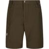 Regatta Mens Delgado Shorts