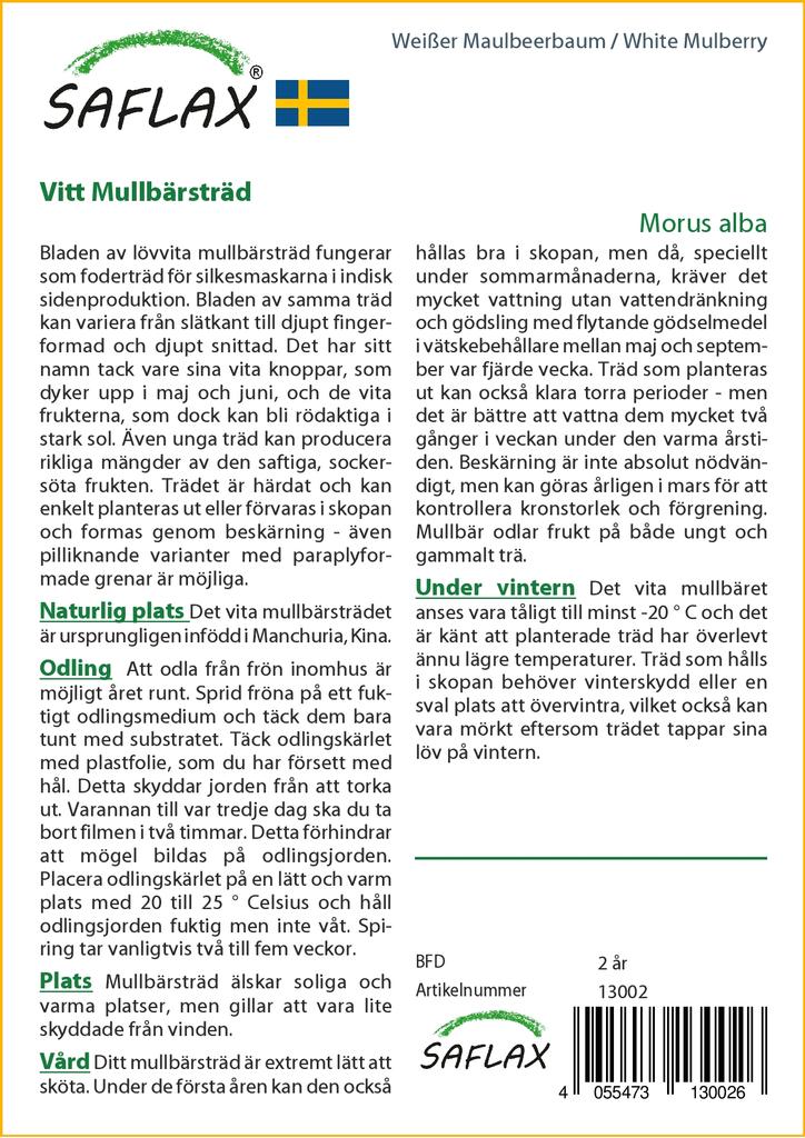 SAFLAX Шелковица белая - 200 семян - Morus alba