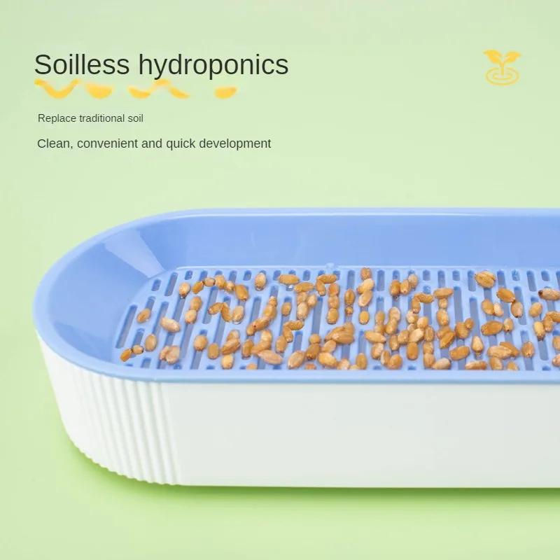 Ящик для посадки кошачьей травы, гидропонное растение без почвы, поддон для проращивания семян кошачьей травы, чаша для выращивания, теплица для проращивания, ящик для выращивания
