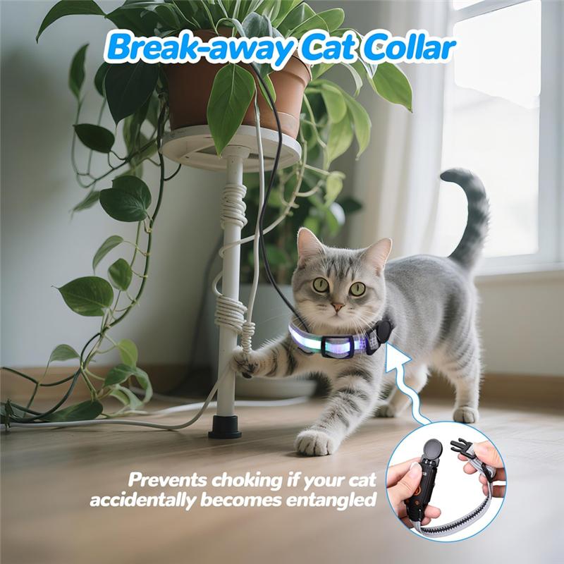 Cat Collar With Remote, Rechargeable Waterproof LED Light For Night, Dog For Night Walking Accessories