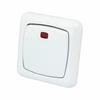 White Light Switch 250 V
