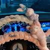 Car Steering Wheel Cover Cute Goddess Style Summer 2024 Korean Cartoon Non-Slip Sweat-Absorbent Ultra-Thin Handle Cover Car Accessories