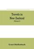 Книга Travels In New Zealand by Ernst Dieffenbach - Paperback