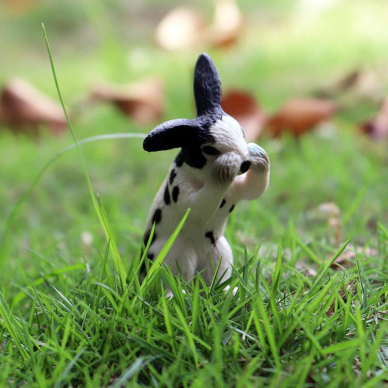 Oenux Lovely Farm Rabbit Bunny Model Action Figure Figurine Wild Desert Cottontail Hare Cute PVC Decoration Education Kid Toy