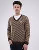 Men's V Neck Full Sleeve Pullover