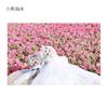 Customized Dog Wedding Dress,Handmade Long Tailing Wedding Costume for Puppy Kitten,Headdress Attach,Pure White Dresses for Dog