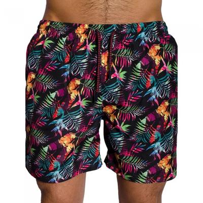 Мужские шорты для плавания Bewley & Ritch Tropic