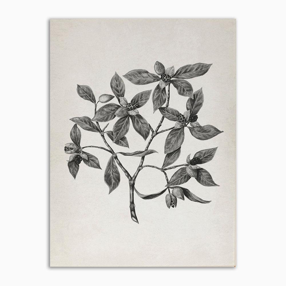 Vintage Rustic Kitchen Wall Art Poster And Prints Farmhouse Forest Neutral Botanical Retro Canvas Painting For Living Room Art