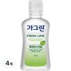 Ополаскиватель для рта Gagreen Fresh Lime, 100 мл, 4 шт.
