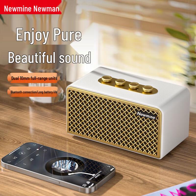 Портативная Bluetooth-колонка Newmine BT521, штекер CN (адаптер в комплекте)