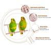 Birdcage Hanging Decor HandCraft Bird Supplies Parrot Toys Hamsters Toy Climbing Ladder
