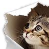 Broken Hole Cat Toilet Sticker Waterproof Removable Self-adhesive PVC Living Room Bathroom