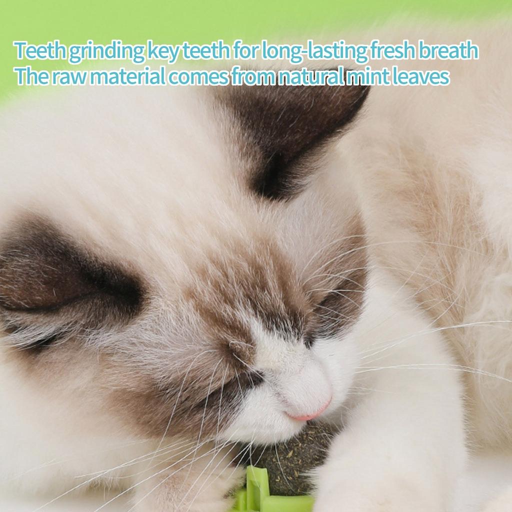 Мяч из кошачьей мяты Вращающийся шар для чистки зубов Самовеселый устойчивый к укусам интерактивная игрушка Деревянный шар Тянь Ляо