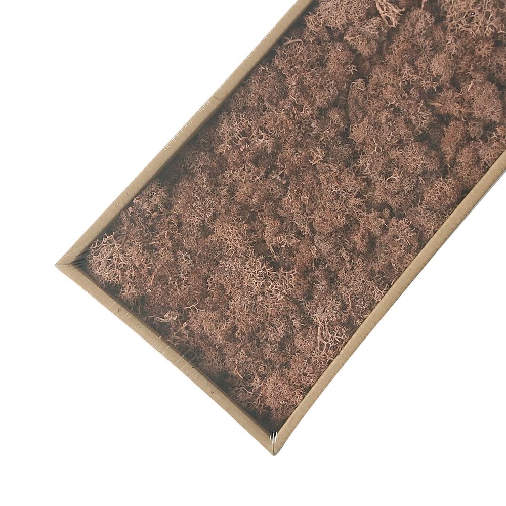 Preserved Flower & Moss Wall Decoration Kit: Flower Gift Box Materials